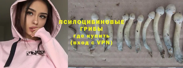 шишки Балахна