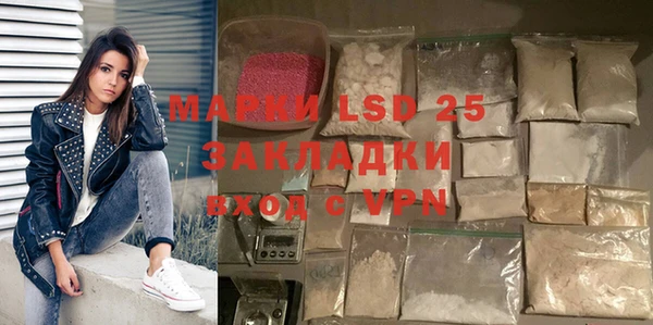 шишки Балахна