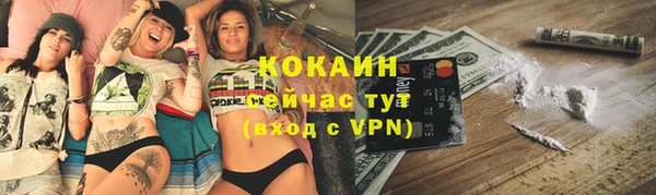 шишки Балахна