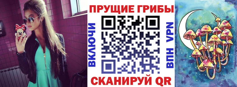 МЕГА ТОР Нерюнгри Галлюциногенные грибы Psilocybine cubensis наркотики